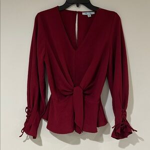 She and Sky Deep Red V-Neck Blouse